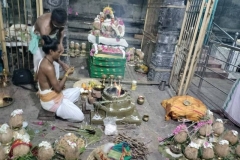 pavitrotsavam-6-10-2023-6